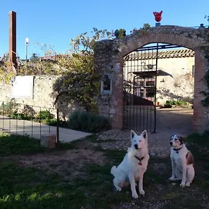Mas Del Llop Blanc - Dog Friendly Rural - Bed & Breakfast Sobrestany